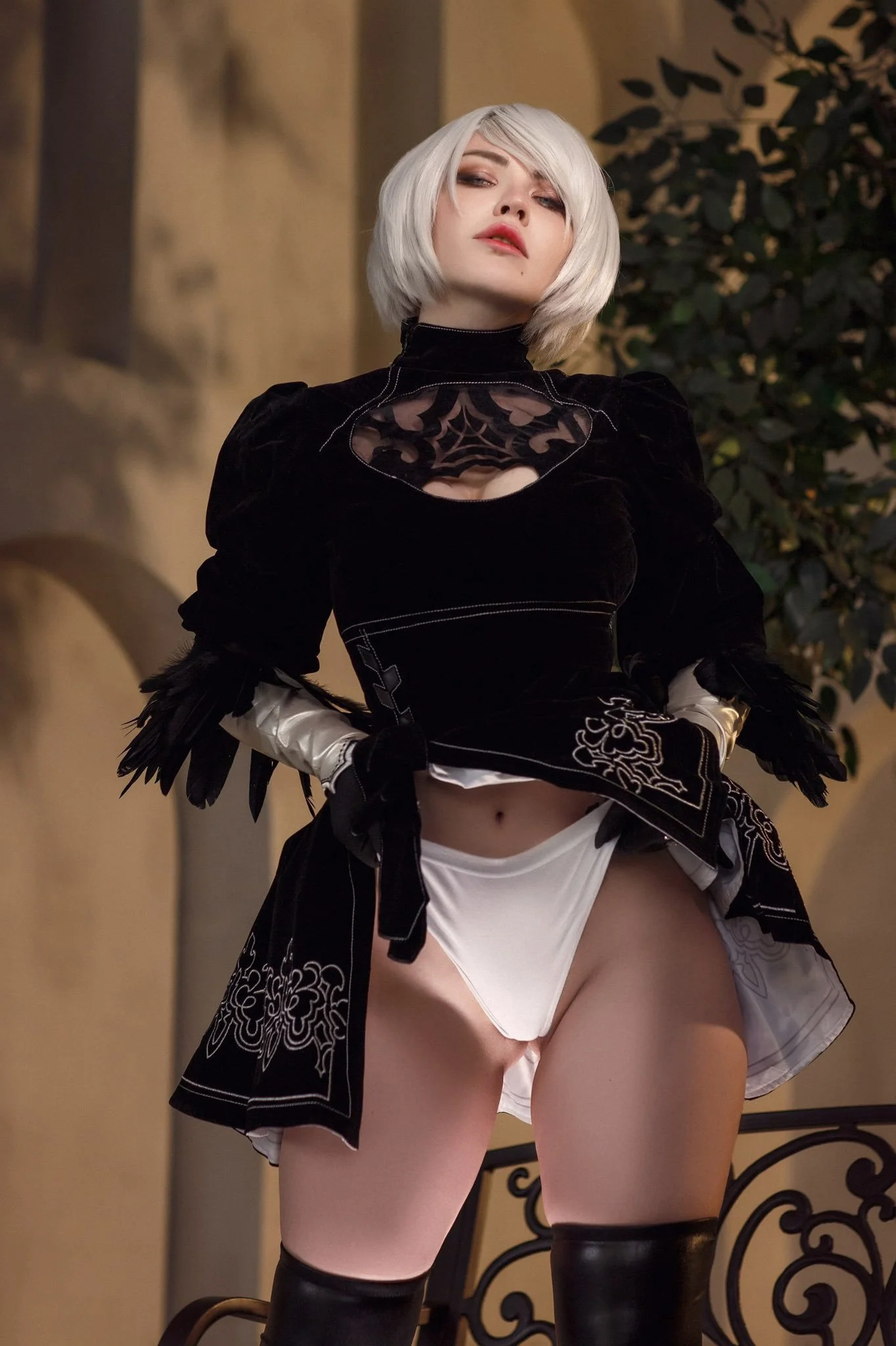 Coser Photo Image No.4121