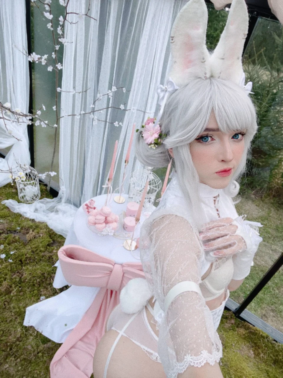 Coser Photo Image No.1721