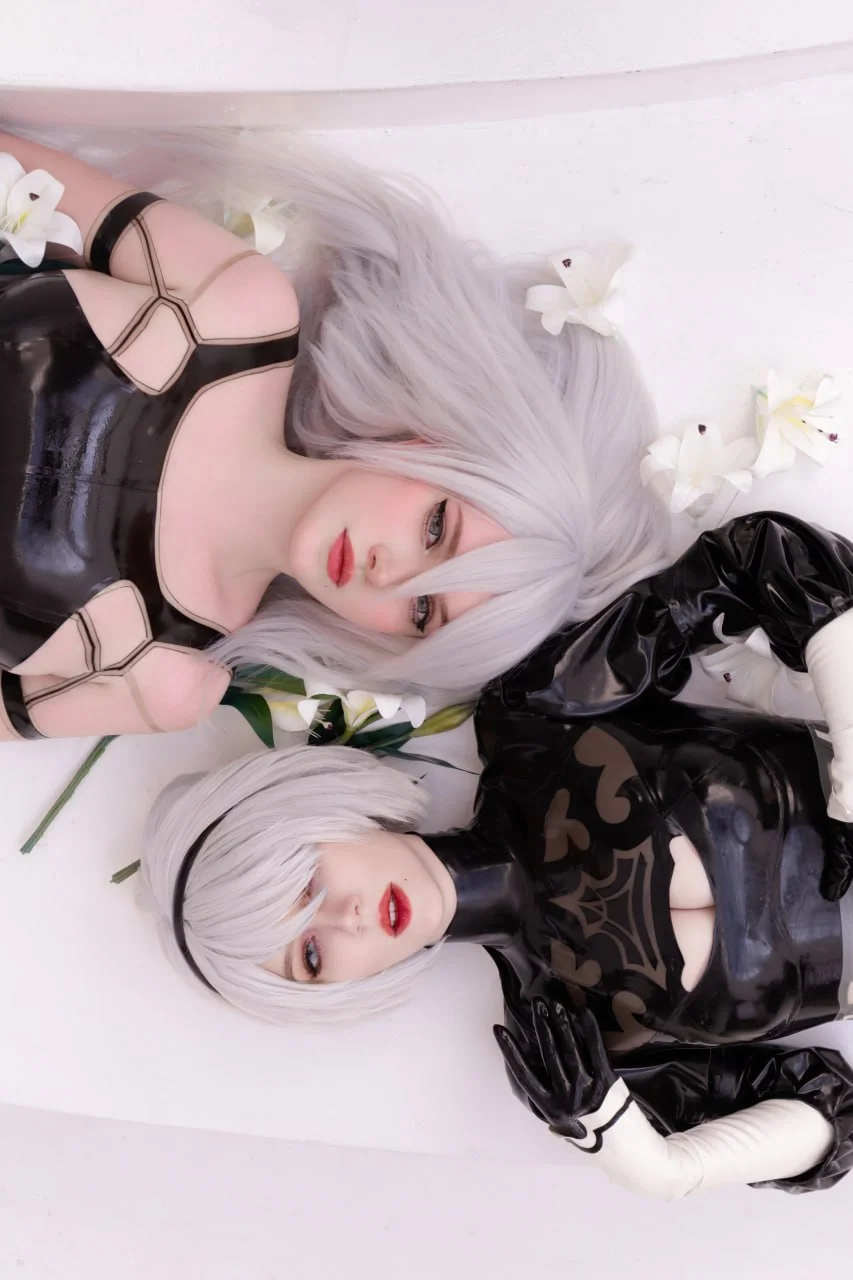 Coser Photo Image No.2562