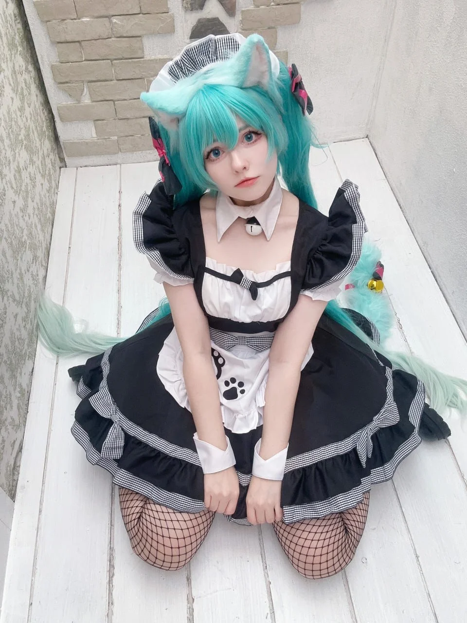 Coser Photo Image No.3335