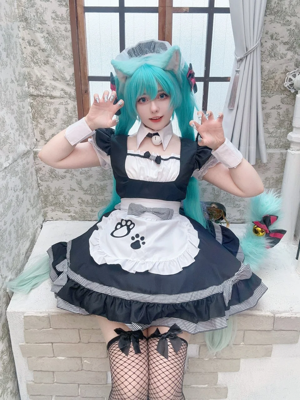 Coser Photo Image No.3235