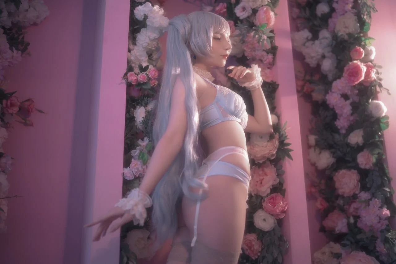 Coser Photo Image No.3608
