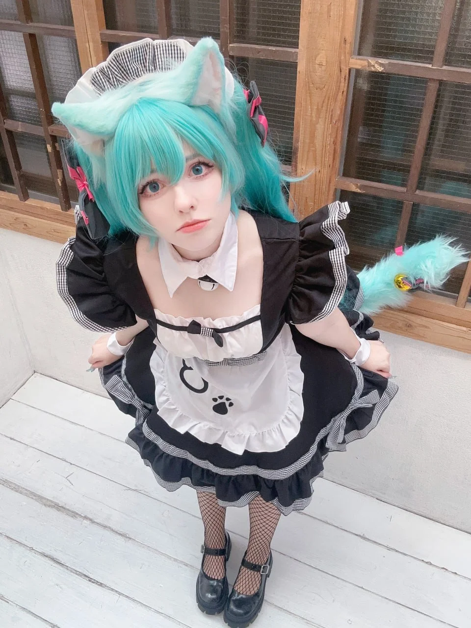 Coser Photo Image No.3272